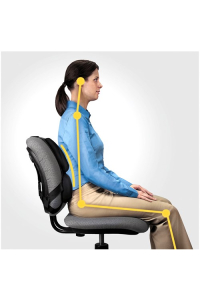 Obrázok pre Profesionální polštářek na podporu zad Fellowes Ergonomics
