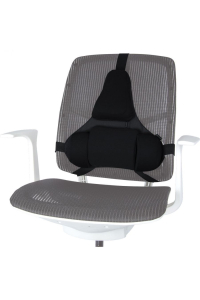 Obrázok pre Profesionální polštářek na podporu zad Fellowes Ergonomics