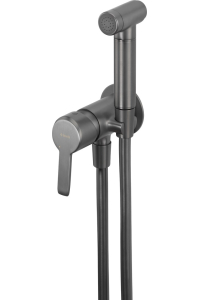 Obrázok pre Concealed bidet mixer with bidetta shower head