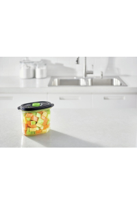 FoodSaver FFC023X skaldovací nádoba na potraviny Oválný Krabice 1,8 l Černá, Průhledná 1 kusů Obrázok pre FoodSaver FFC023X skaldovací nádoba na potraviny Oválný Krabice 1,8 l Černá, Průhledná 1 kusů
