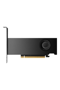 PNY NVIDIA RTX 2000 Ada Generation 16 GB GDDR6 Obrázok pre PNY NVIDIA RTX 2000 Ada Generation 16 GB GDDR6