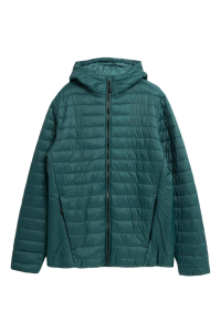 Obrázok pre Men's down jacket 4F M240 green 4FAW23TDJAM240 41S