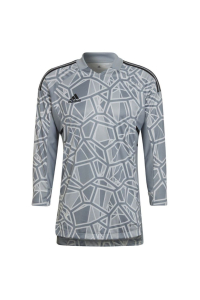 adidas Condivo 22 Goalkeeper Jersey Long Slevee grey HB1614 Obrázok pre adidas Condivo 22 Goalkeeper Jersey Long Slevee grey HB1614