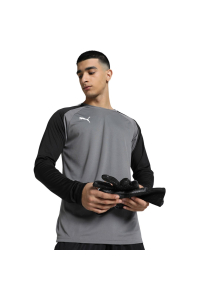 Puma teamPACER GK LS men's goalkeeper sweatshirt grey 704933 43 L Obrázok pre Puma teamPACER GK LS men's goalkeeper sweatshirt grey 704933 43 L
