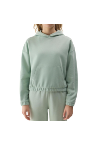 Women's sweatshirt 4F F1057 light green 4FWSS24TSWSF1057 42S M Obrázok pre Women's sweatshirt 4F F1057 light green 4FWSS24TSWSF1057 42S M