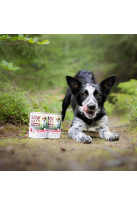 VETEXPERT Raw Paleo Puppy Monoprotein Beef - mokré krmivo pro štěňata - 400 g Obrázok pre VETEXPERT Raw Paleo Puppy Monoprotein Beef - mokré krmivo pro štěňata - 400 g