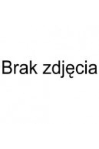 Obrázok pre Techly IDATA HDMI-AI4K video konvertor 3840 x 2160 px