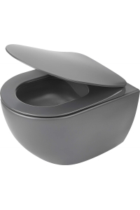 Rimless toilet Obrázok pre Rimless toilet