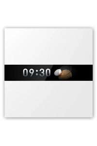 Obrázok pre Aqara Display Switch V1