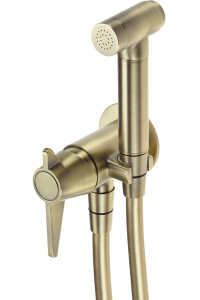 Obrázok pre Concealed bidet faucet w/ Bidetta handset