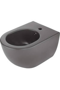 Obrázok pre Wall-mounted bidet