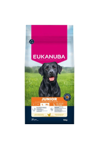 EUKANUBA Premium Nutrition Junior Large & Giant Breed Chicken - suché krmivo pro psy - 15kg Obrázok pre EUKANUBA Premium Nutrition Junior Large & Giant Breed Chicken - suché krmivo pro psy - 15kg