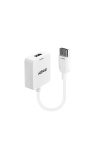 Lindy 38146 adaptér k video kabelům HDMI Typ A (standardní) DisplayPort Bílá Obrázok pre Lindy 38146 adaptér k video kabelům HDMI Typ A (standardní) DisplayPort Bílá