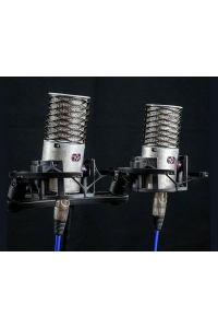 Aston Microphones Origin Stereo Pair Condenser Obrázok pre Aston Microphones Origin Stereo Pair Condenser