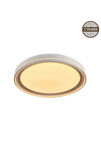Obrázok pre Ceiling Lamp LED B2361-1L-R 49CM 45W