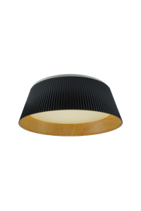 Obrázok pre Ceiling LED Light TAI D45 4000K Black