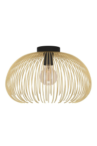 Obrázok pre EGLO 900165 stropní osvětlení E27 40 W