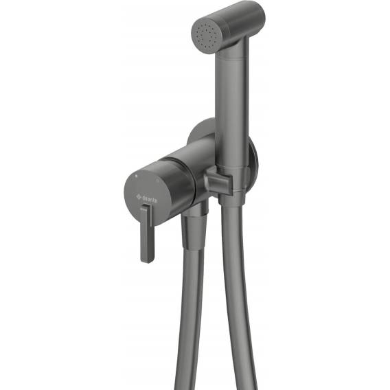 Obrázok pre Concealed bidet mixer with bidetta shower head