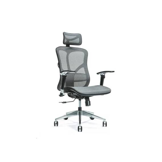 Obrázok pre Ergonomická kancelářská židle ERGO 500 šedá