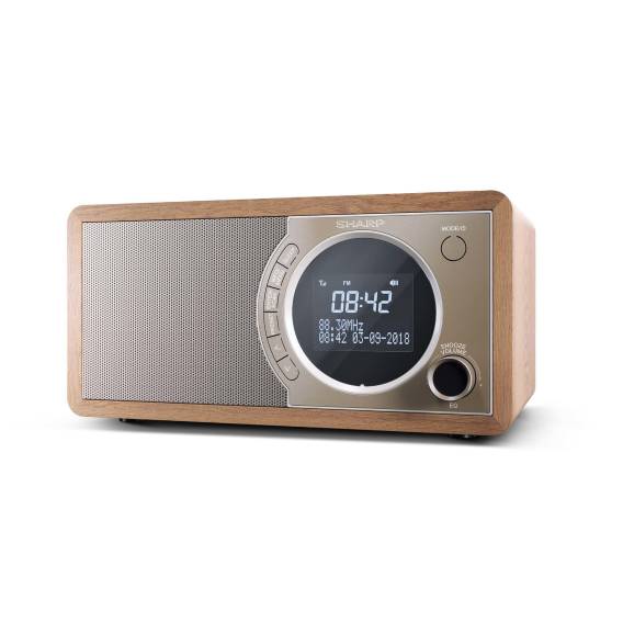 Obrázok pre Sharp DR-450 Osobní Digitální Hnědá, Nerezová ocel