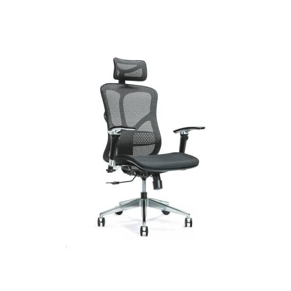 Obrázok pre Ergonomická kancelářská židle ERGO 500 černá