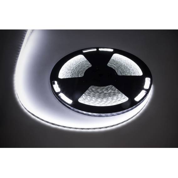 Obrázok pre Sznur diodowy 25m Rebel (1500x5050 SMD) zimny biały wodoodporny, 12V