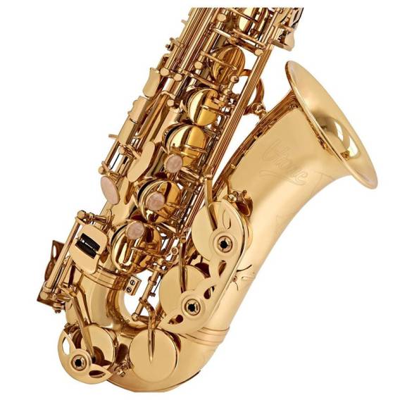 Obrázok pre V-TONE AS 100 Alto Saxophone with Case Set