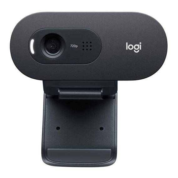 Obrázok pre Logitech C505e webkamera 1280 x 720 px USB Grafit