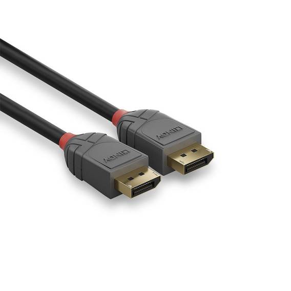 Obrázok pre Lindy 36486 DisplayPort kabel 10 m Černá