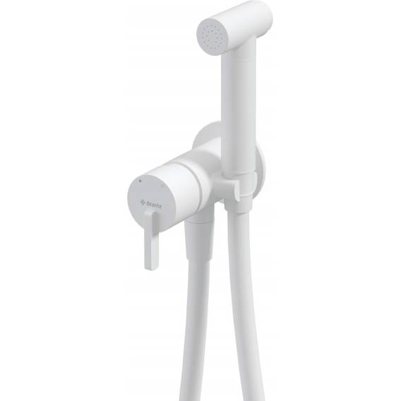 Obrázok pre Concealed bidet mixer with bidetta receiver