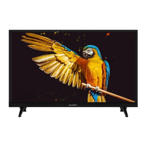 Obrázok pre GoGEN TVH24A336 24" TV