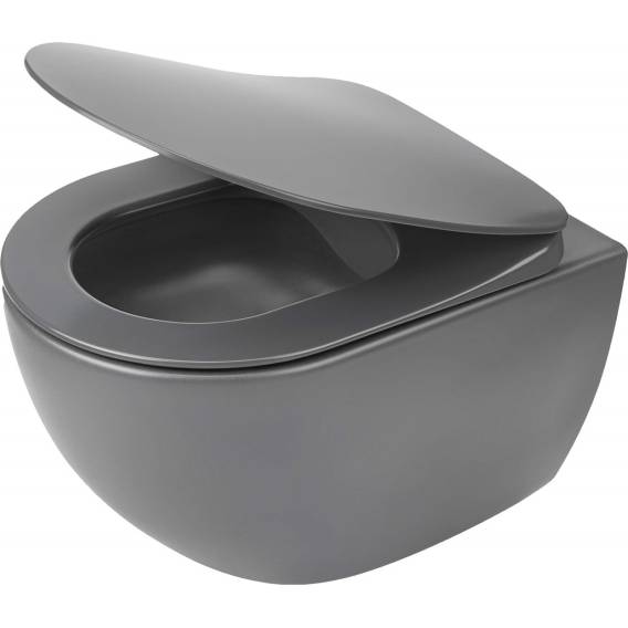 Obrázok pre Rimless toilet