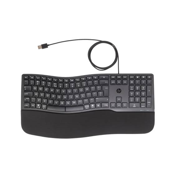 Obrázok pre HP Kabelová klávesnice 480 Comfort