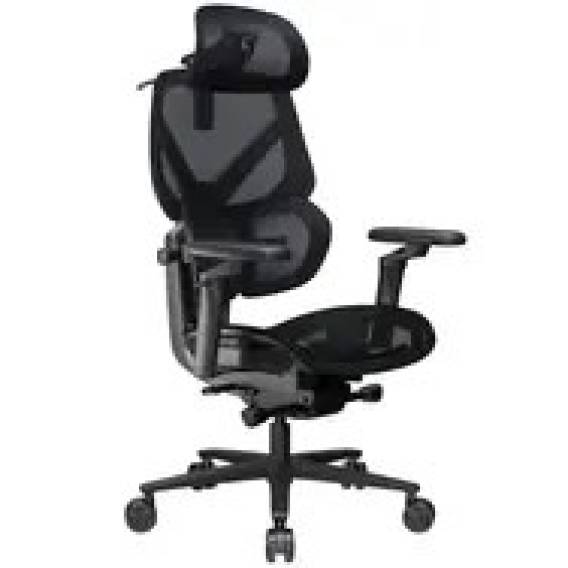 Obrázok pre ThunderX3 FLEX Pro ergonomic gaming chair - Mesh