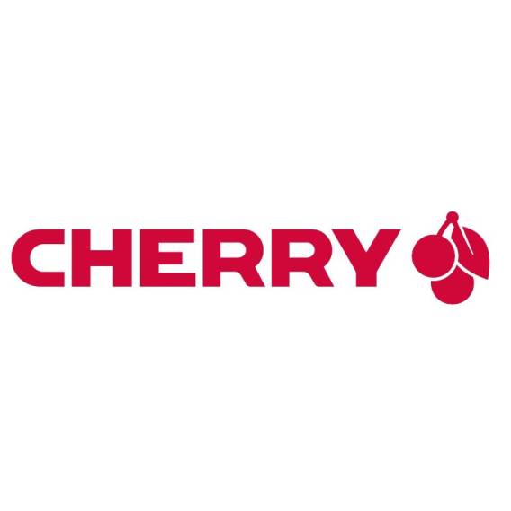 Obrázok pre CHERRY KC 4500 ERGO klávesnice Univerzální USB AZERTY Francouzský Černá