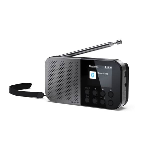 Obrázok pre Sharp DR-P520 Osobní Digitální Šedá