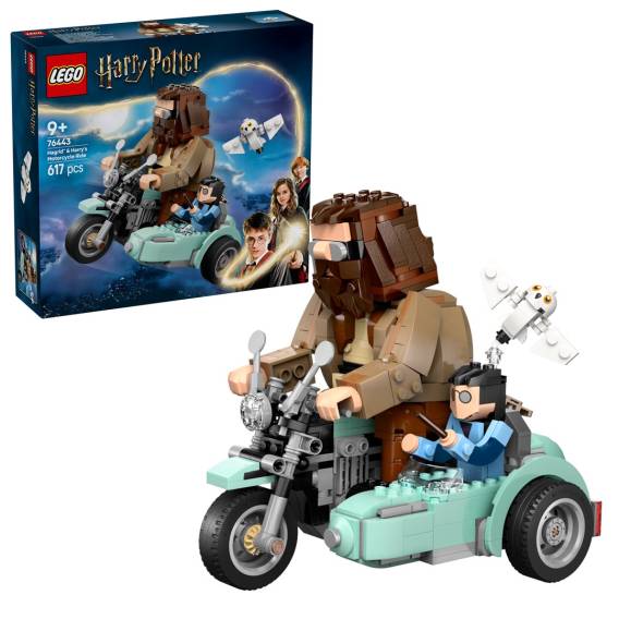 Obrázok pre LEGO HARRY POTTER 76443