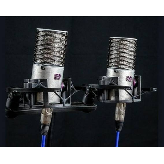 Obrázok pre Aston Microphones Origin Stereo Pair Condenser