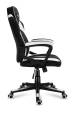 Obrázok pre HERNÍ ŽIDLE HUZARO FORCE 2.5 WHITE MESH