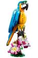Obrázok pre LEGO CREATOR 31136 EXOTICKÝ PAPOUŠEK