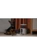 Obrázok pre Aqara 6970504218178 nezařazeno