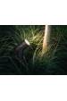 Obrázok pre Philips Hue White and Color ambiance Bodové světlo Lily Outdoor