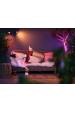 Obrázok pre Philips Hue White and Color ambiance Bodové světlo Lily Outdoor