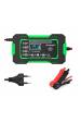 Obrázok pre Nabíječka baterií Tianye RJ-C 120501A 12V, 6A