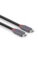 Obrázok pre Lindy 36958 USB kabel USB4 Gen 3x2 2 m USB C Černá