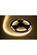 Obrázok pre LED cord 25m Rebel (1500x5050 SMD) warm white waterproof, 12V