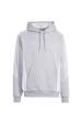 Obrázok pre adidas Tiro 24 Sweat Hooded grey IR7545