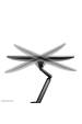 Obrázok pre Neomounts DS70-810BL2 Držák/stojan na monitor 81,3 cm (32") Stůl Černá