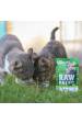 Obrázok pre VETEXPERT Raw Paleo Adult Cat Sterilized Venison - mokré krmivo pro kočky - 100 g