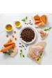Obrázok pre VETEXPERT Raw Paleo Ultra Medium&Large Adult Turkey Mono - suché krmivo pro psy - 10 kg